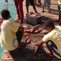 Fish is the principal food for the people